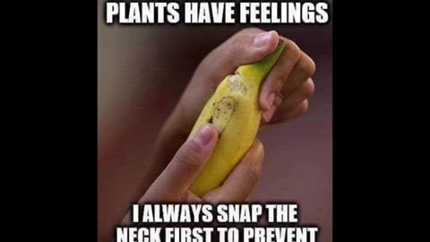Random Memes 398