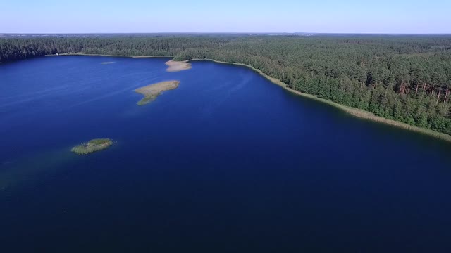 flight over the lake near forest 2