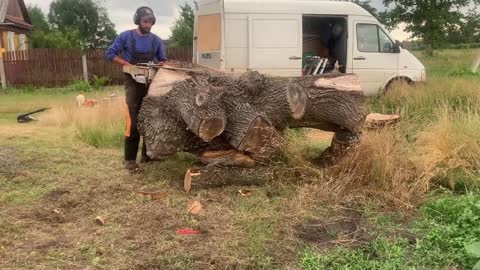 Continue the work done by the design of this wonderful tree