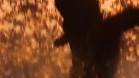 Marvel