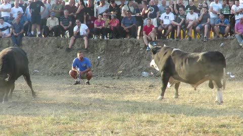 Afrika od Perišića vs Brizan od Mecavice