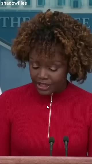 WE GOT ANOTHER 🦎GLITCHIER 😳FOLKS THE PRESS SECRETARY OF FAKE 🥸 BIDEN