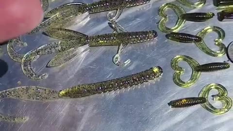 Bass fishing