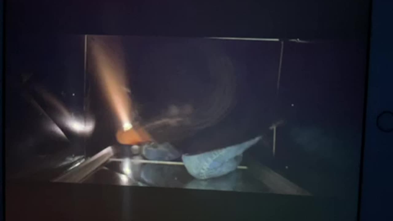 Return of the walking dead ☠️ p 07 Derek Hunter Rumble