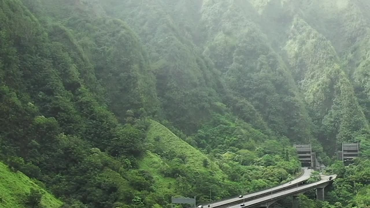 vehicle are running on bridge