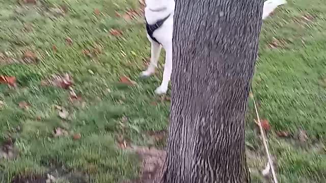 Everest being vocal for 1st time.