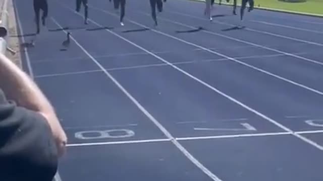 Ducks Stroll In On Race Track In Middle Of 200m Race