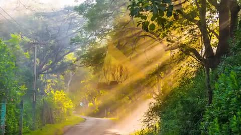 Best nature sunrise