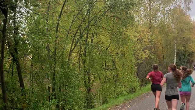 Joggers Pass Bear in Tree