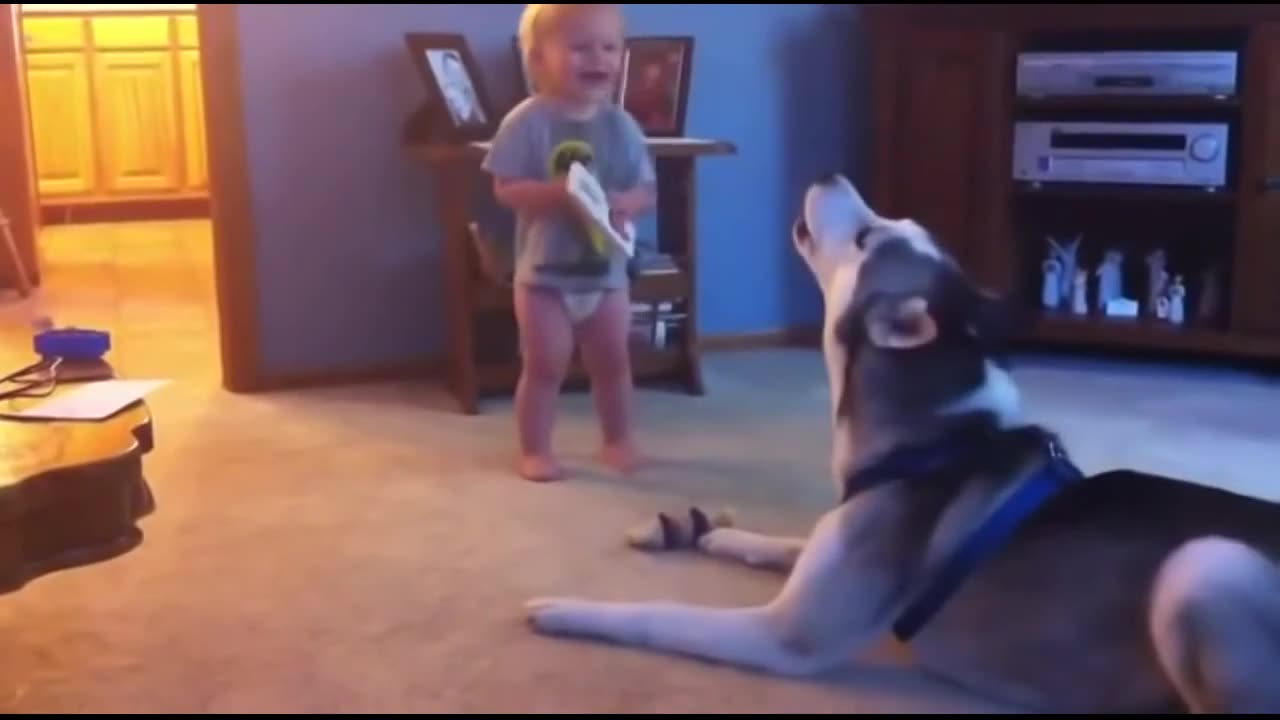 Funny Dog and Baby nice video fanny animal #tiger #rumble