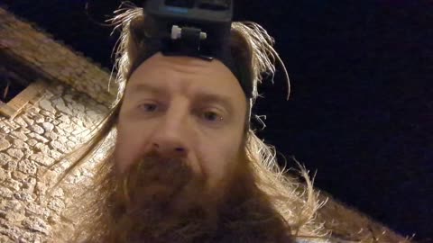2022-10-01 (8) - On commence par sortir le chien - Twitch Decheterie