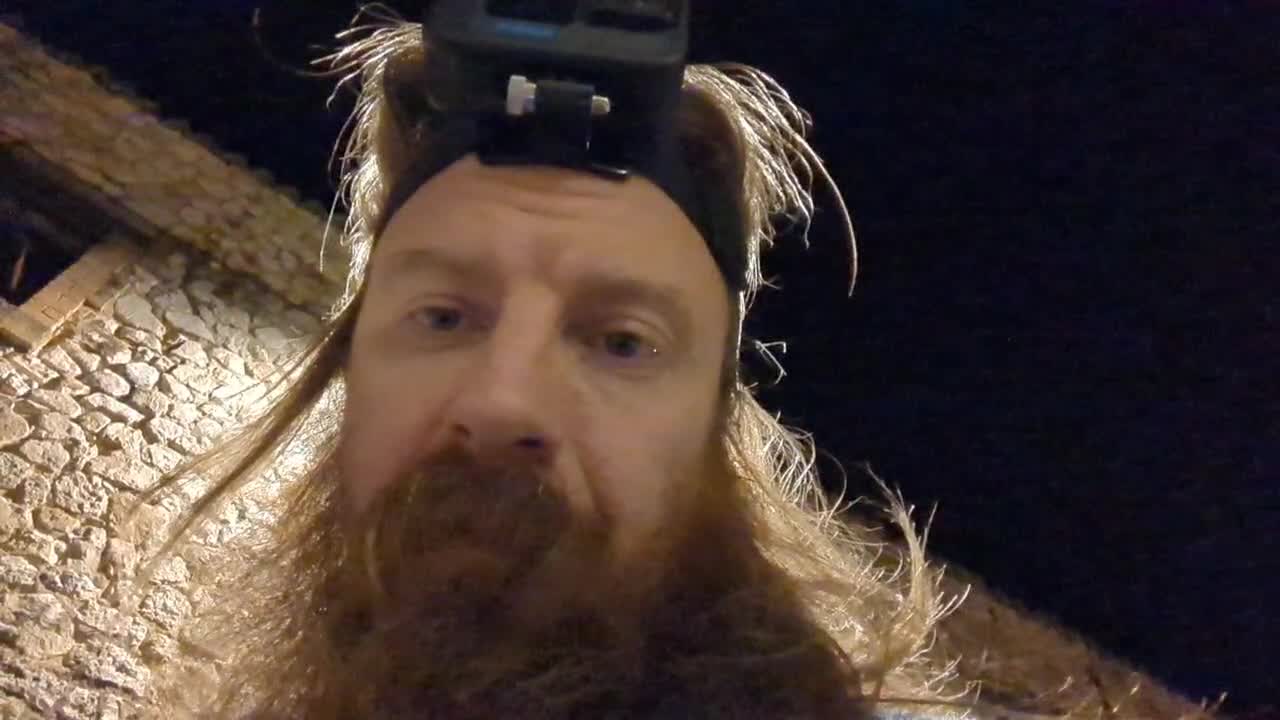 2022-10-01 (8) - On commence par sortir le chien - Twitch Decheterie