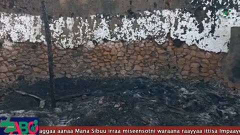 Oduu Waaree ONM-ABO Amajjii 16, 2024