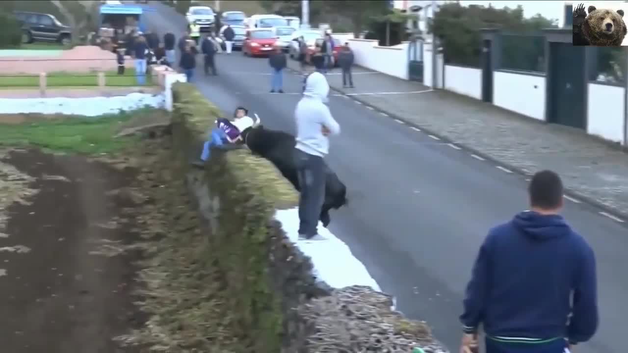 WILD ANIMALS ATTACKING HUMANS - VIDEO COMPILATION