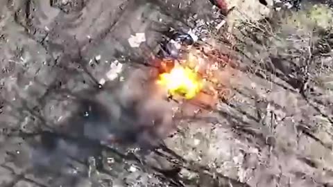 Ukraine vs Russia War