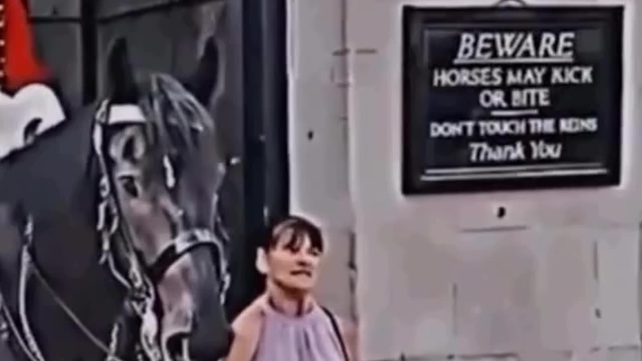 Horses reaction to disabled people