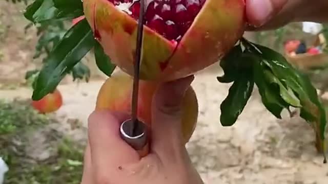OMG 😱 skill😋🤤