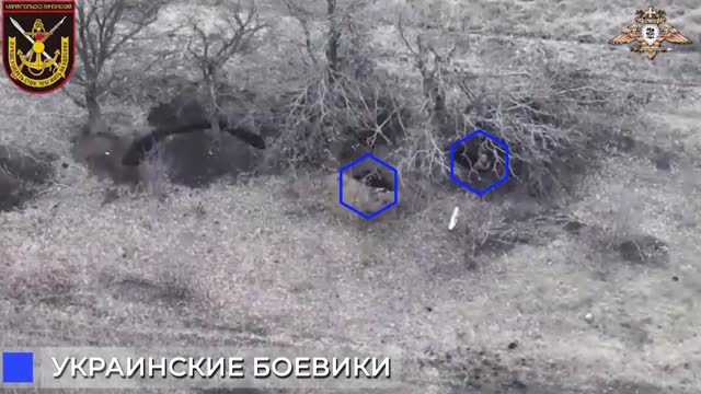 So-Called DPR Says It Hit Ukrainian Soldiers Using Artillery After Spotting Them With Drone