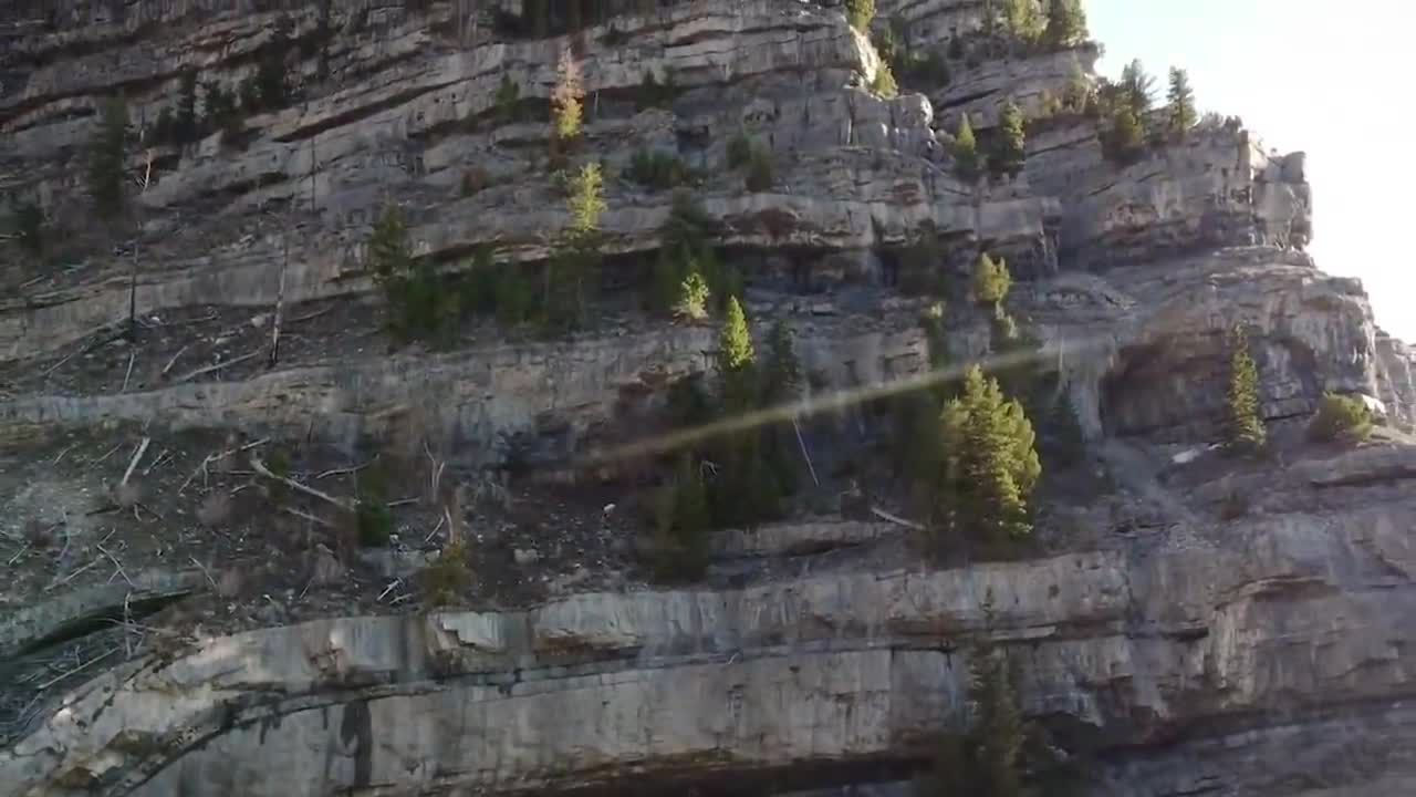 ¡¡¡ Estas CABRAS de montaña Desafían a la MUERTE !!!10