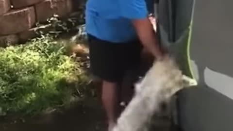stupid man
