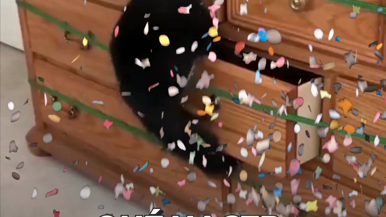 Gato insistente no conoce la frase “no puedo”
