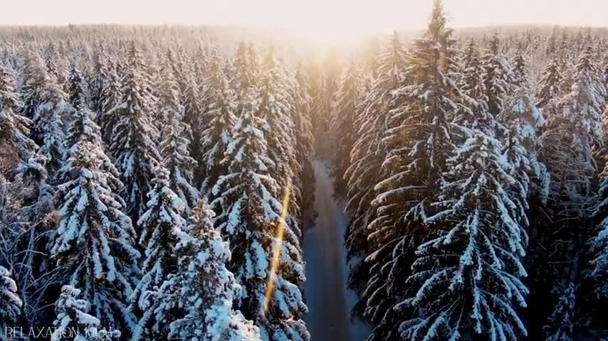 Snow Winter 4K Relaxation Film Meditation