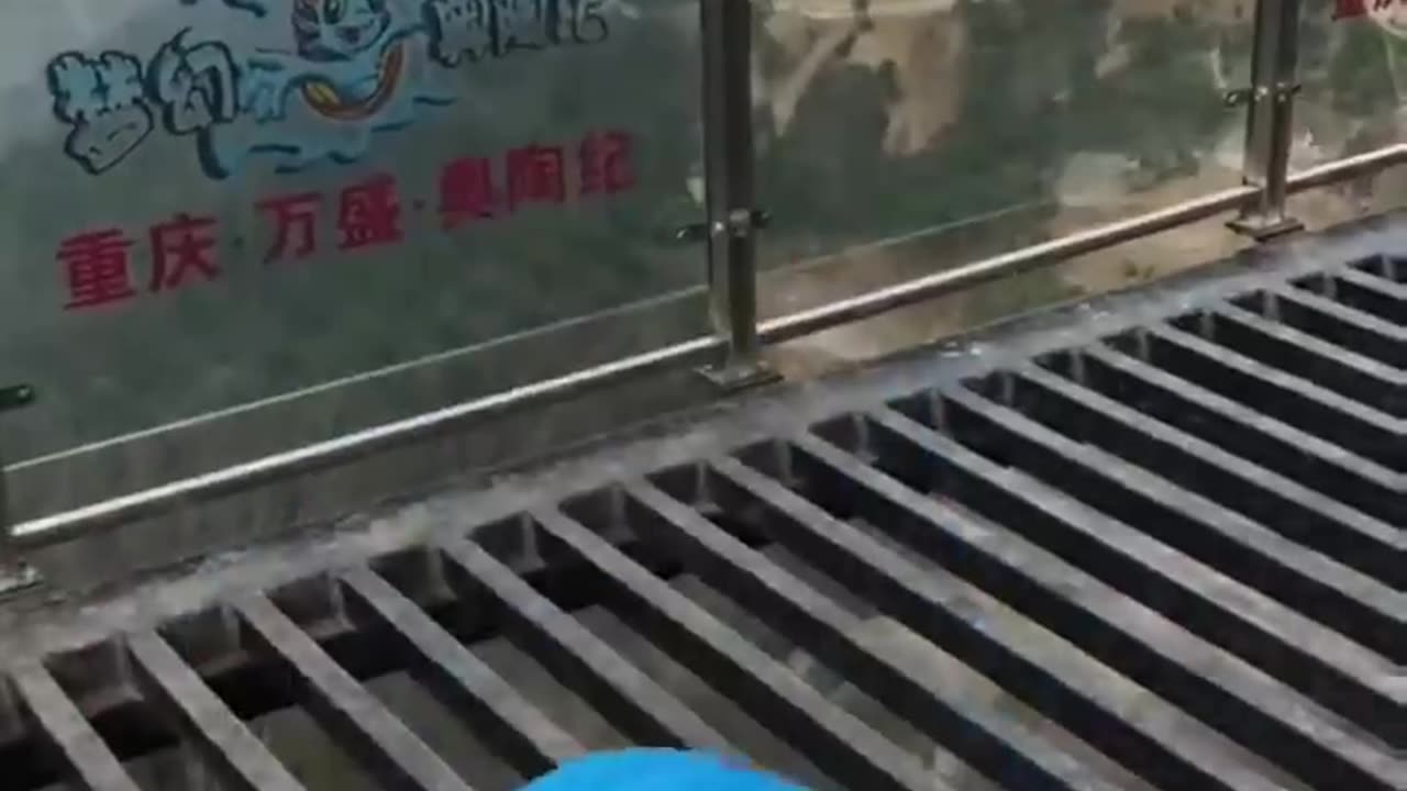 😂 what do you think, funny video