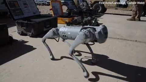 U.S MARINES ARE PREPARING TO SEND ROBOTIC ROCKET LAUNCHING GOATS INTO BATTLE