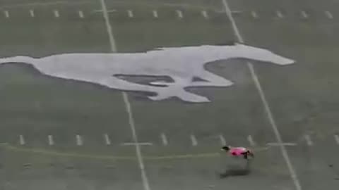 World longest catch ever || And it's done by a dog