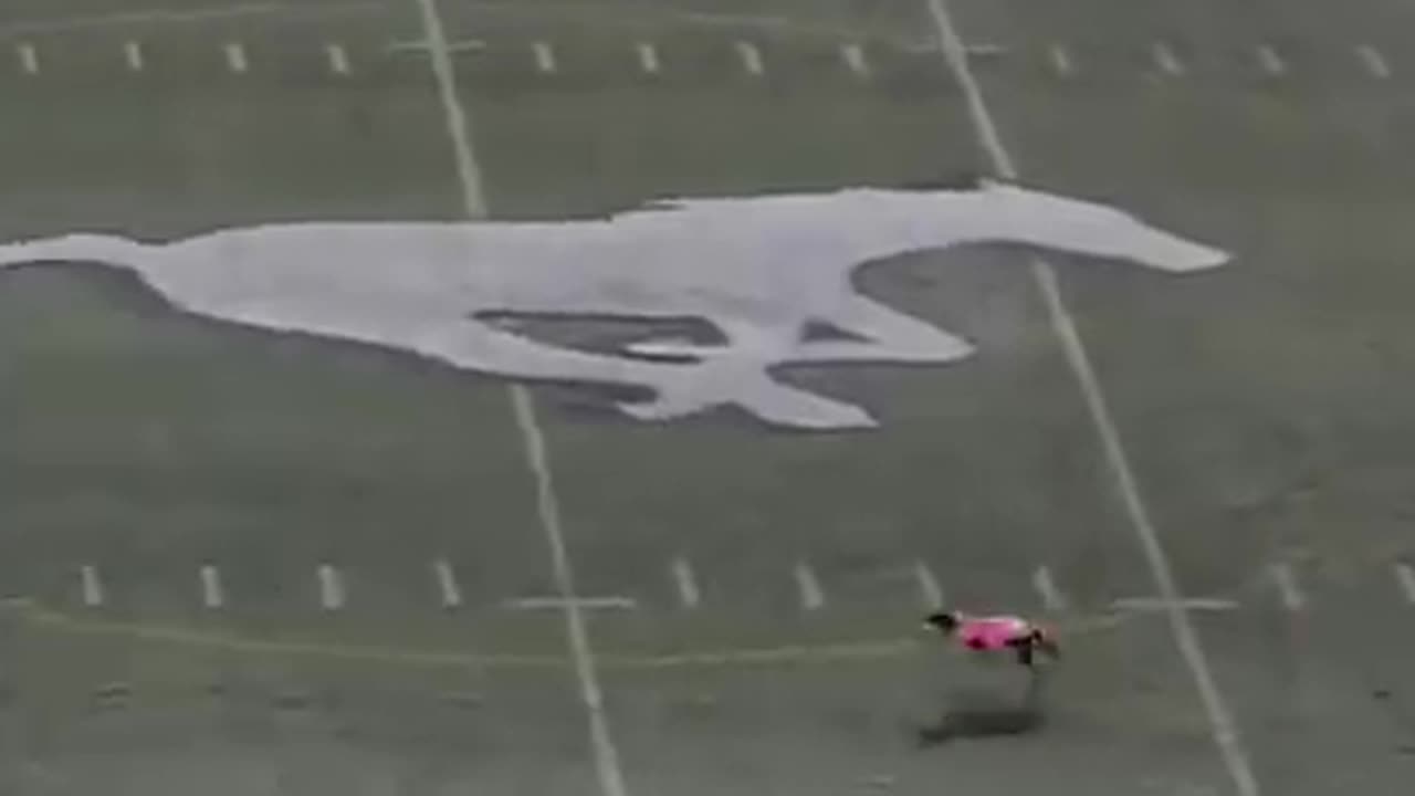 World longest catch ever || And it's done by a dog
