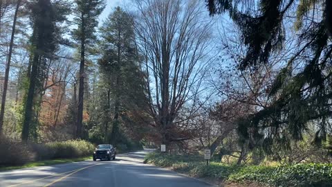 Biltmore, Asheville NV