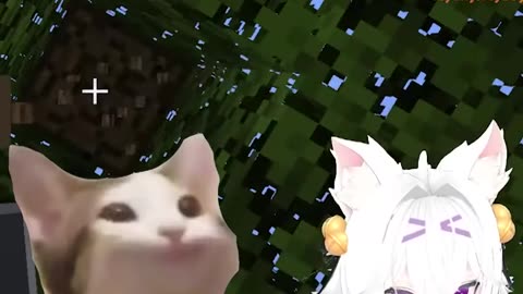 The perfect response to 'Touch Grass'