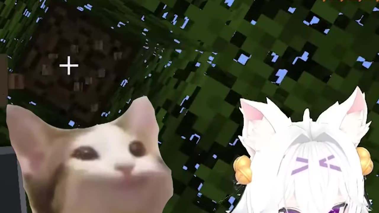 The perfect response to 'Touch Grass'