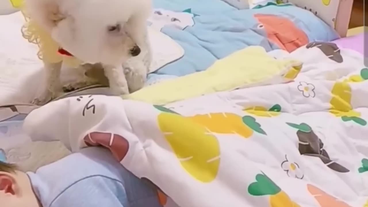 Most heartwarming touching- cute dog takes care of cute baby