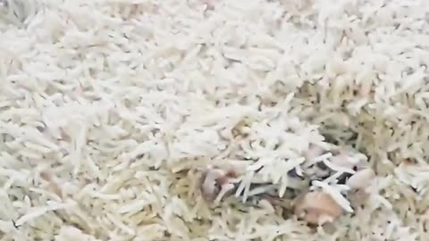 chicken biryani street food Of Pakistan