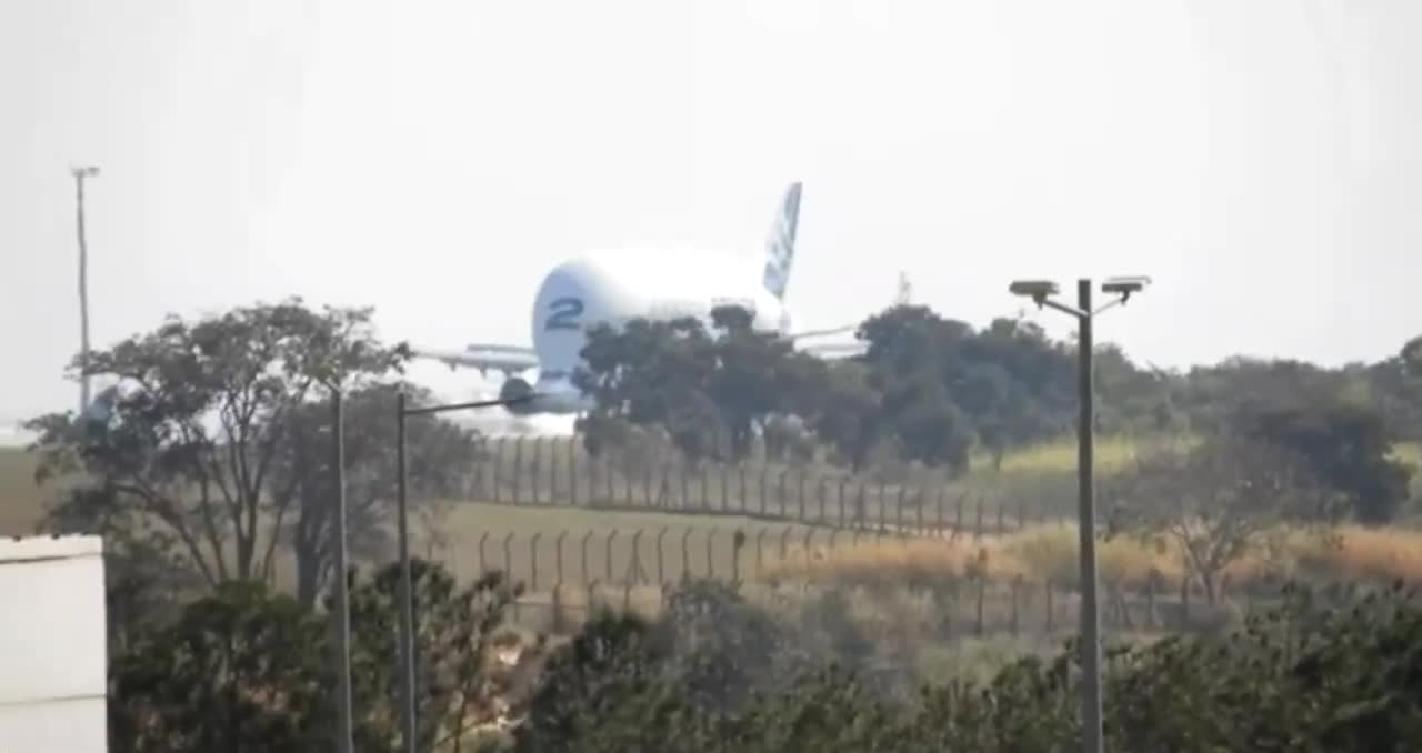 AVIÃO BALEIA 🐳/POUSO DO BELUGA AIRBUS EM VCP CAMPINAS