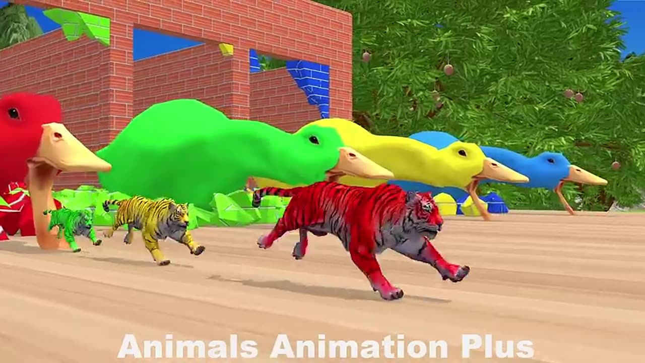 animal animations