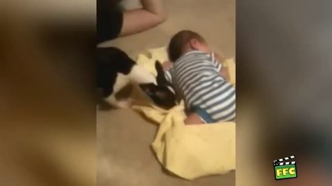 A baby care by animal funny video 2022