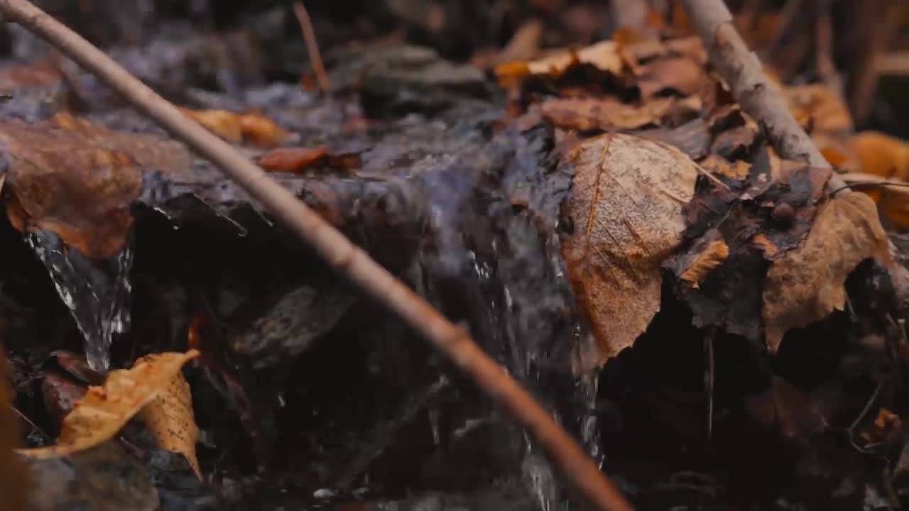 Peaceful Spring Moments in the Berkshire Mountains-11