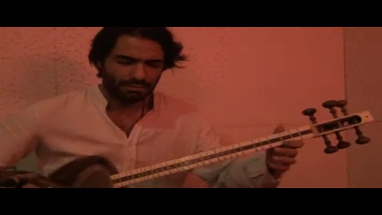 Beautiful playing of Iranian tar