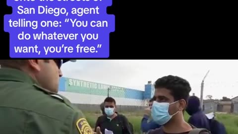 Hundreds of Illegals dumped in San Diego