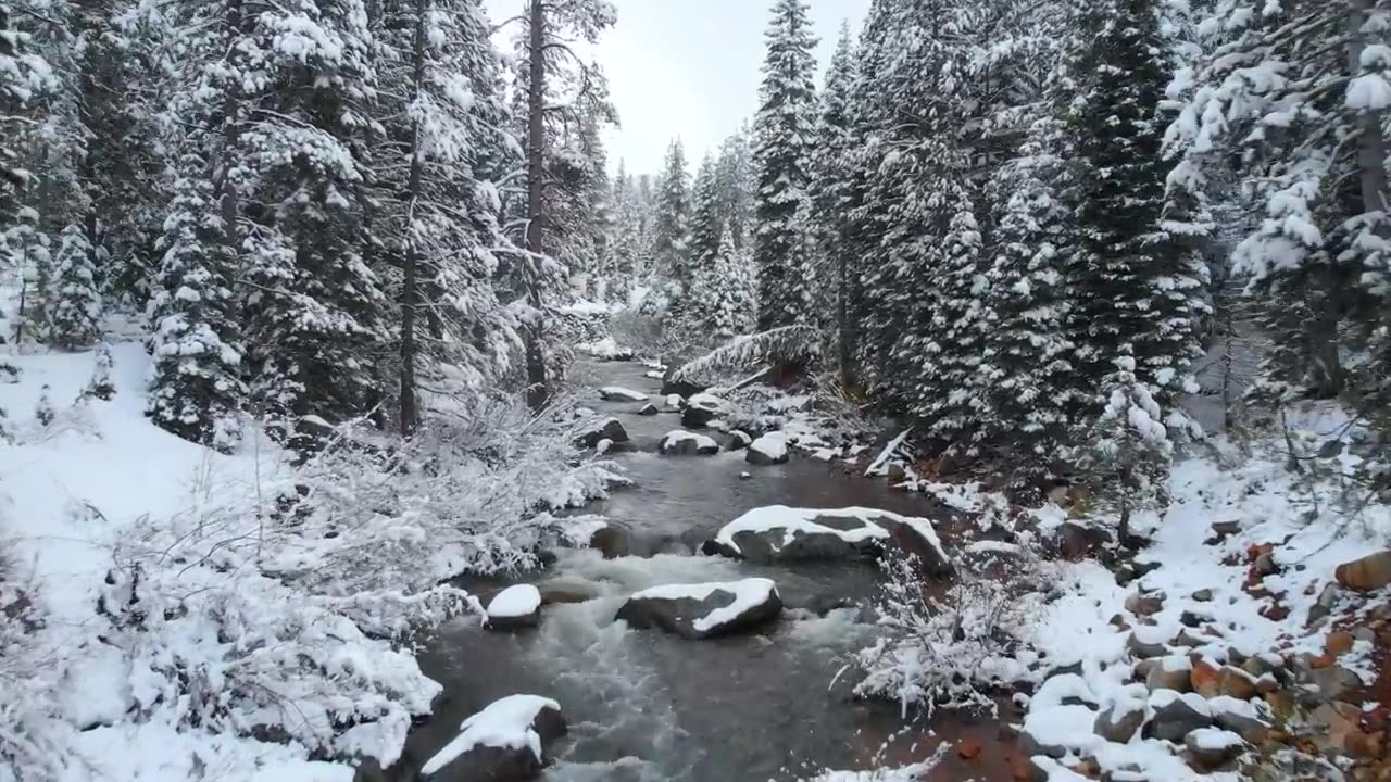 Snowy Mountain Dreamland