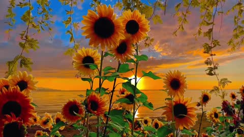 I love God and all His ways as far as I know anything, and I can’t