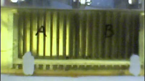 #21 - 20070726 - Hydrogen HHO Electrolyzer test unit 10-1