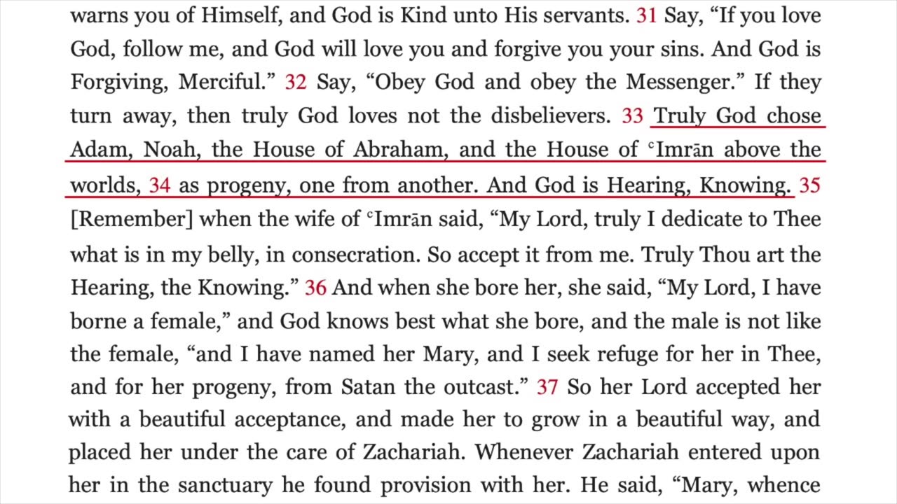 MARY in the Quran_ Examining Every Verse about the Mother of Jesus | David Wood