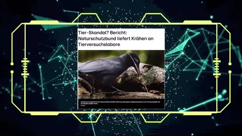 Die Wahrheit über den NABU und den Wolf