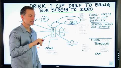 DrBerg-Drink 1 Cup Daily To Relieve Stress