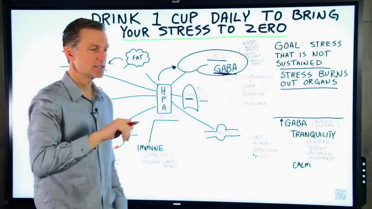 DrBerg-Drink 1 Cup Daily To Relieve Stress