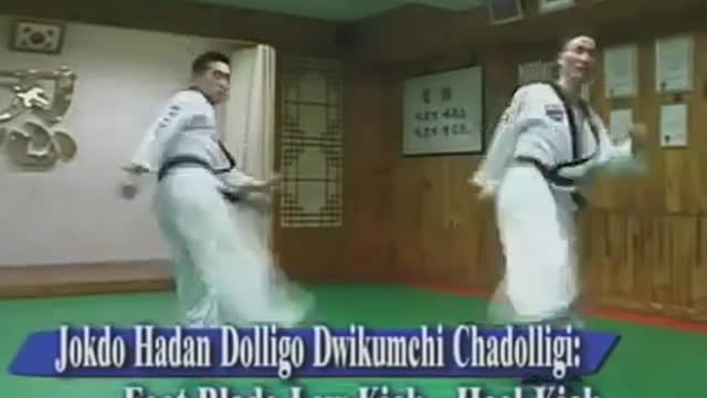 Hapkido