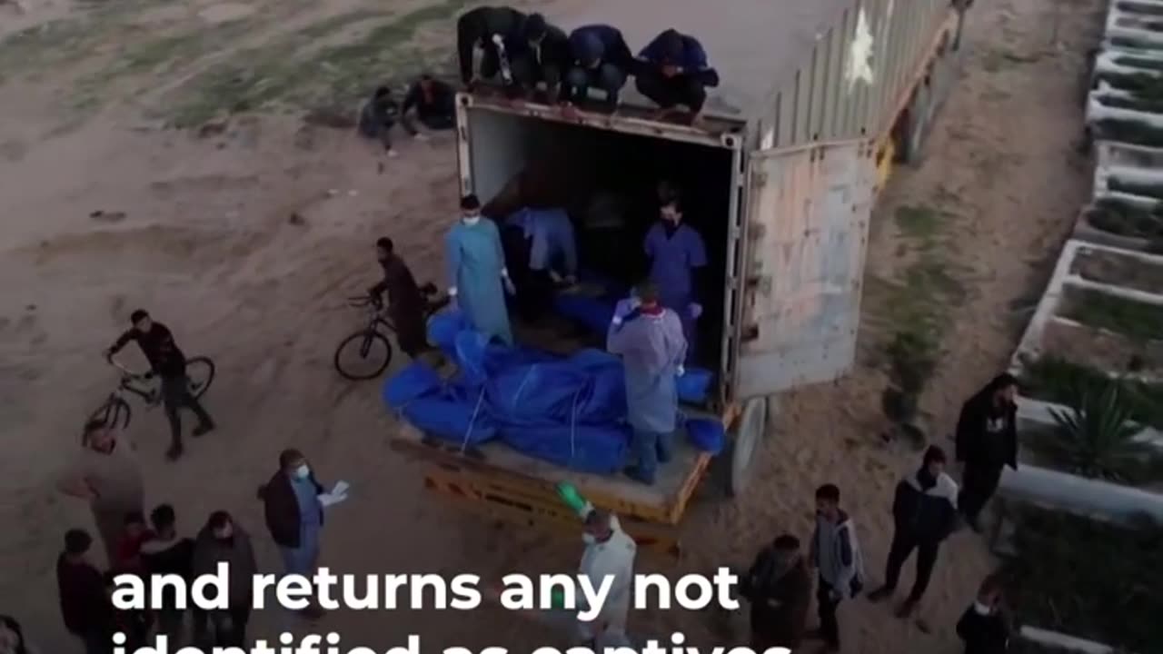 Video shows Israeli forces seizing corpses in Gaza _ Al Jazeera Newsfeed